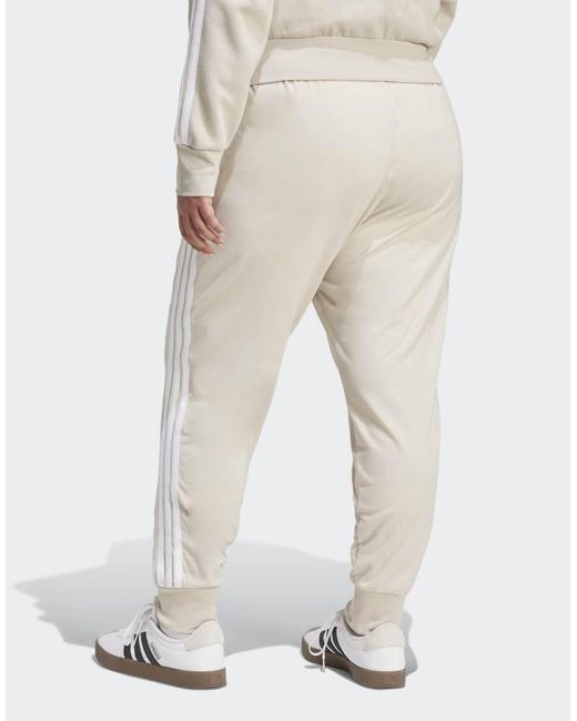 Adidas Originals Natural Essentials 3-Stripes Jogger Pants (Plus Size)