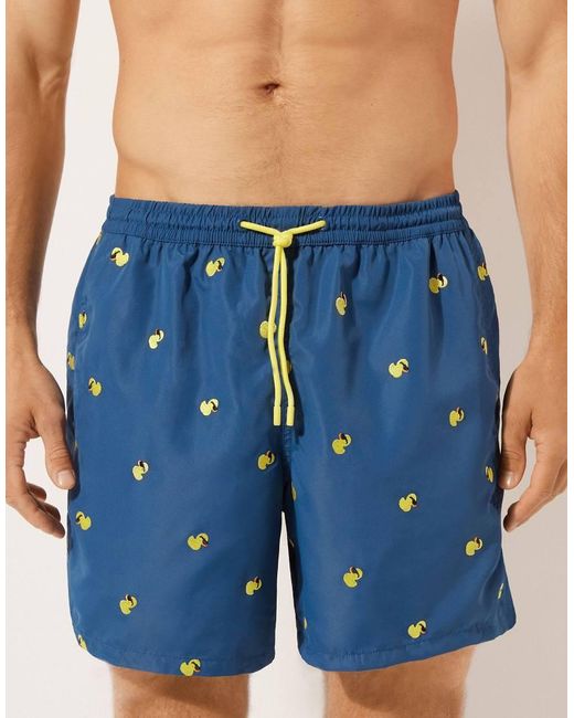 Calzedonia Blue Pattern Swim Boxer Formentera for men