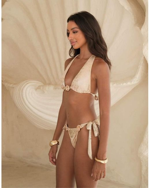 Moda Minx Brown X Alejandra Vidal Tieside Bikini Bottom With Shell Detail