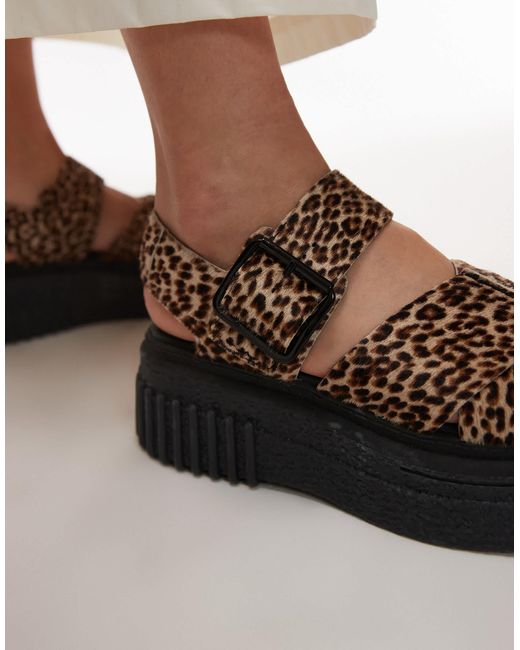 Clarks Black – evamar wish – sandale mit leopardenmuster
