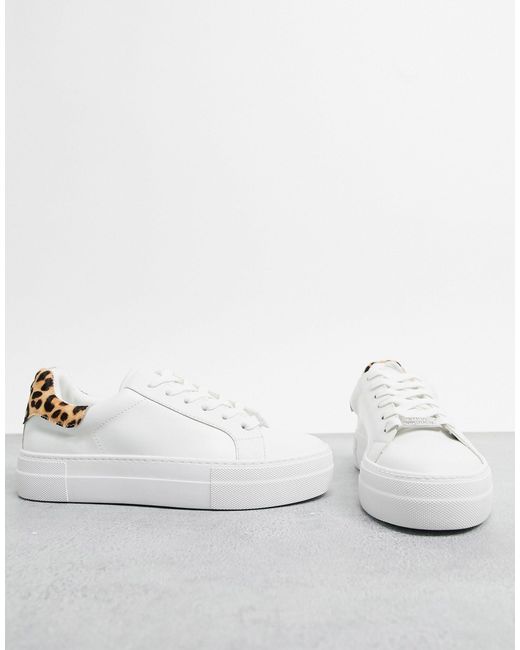 steve madden leopard trainers