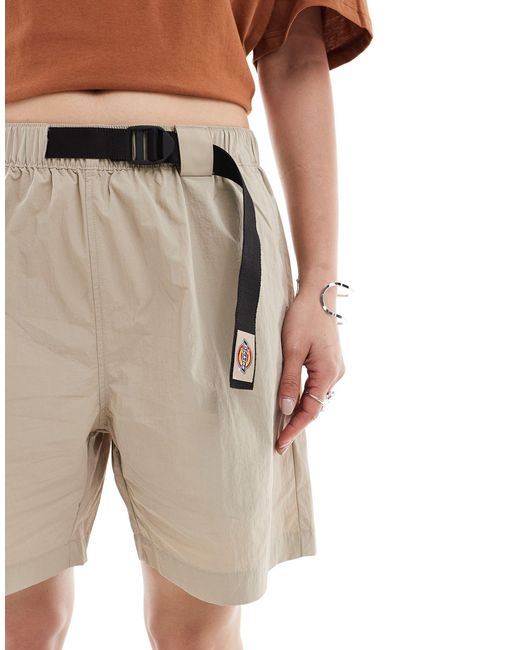 Dickies Natural Jackson Tech Nylon Tape Belt Shorts