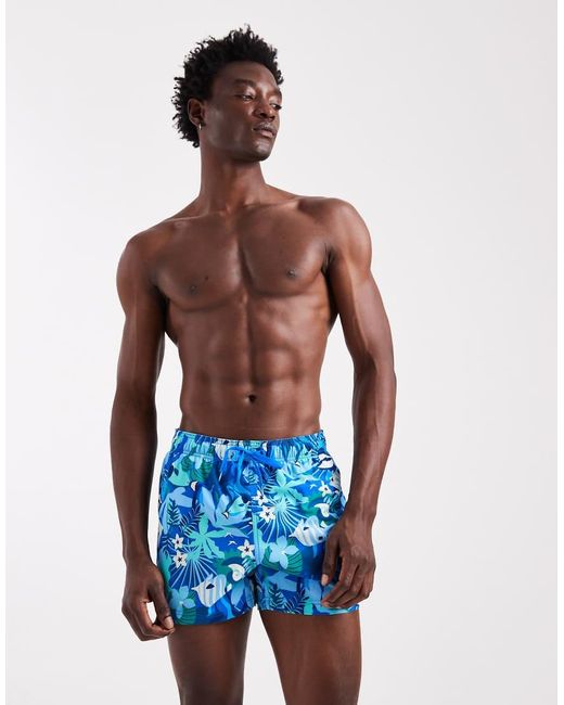 Speedo Blue Printed 14' Redondo Edge Swim Shorts for men