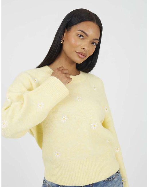 Brave Soul Natural Soft Crew Neck Daisy Embroidery Jumper