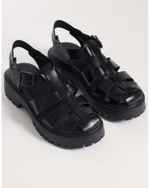 Timberland Stone Street in het Black