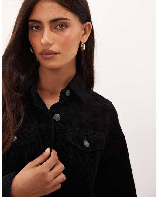 Nobody's Child Black Sheena Cotton Cord Button Down Long Sleeve Shirt Dress