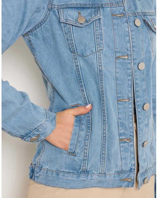Long Tall Sally Blue Denim Jacket