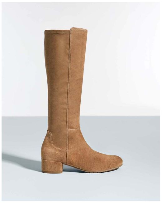 Dune Brown Tayla Knee High Boots