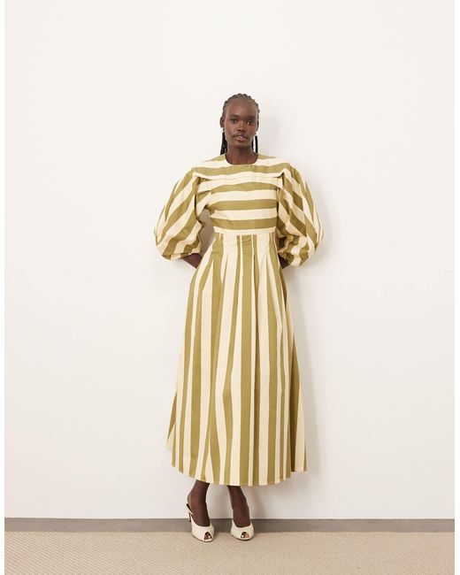 ARRANGE Natural Full Midi Dress With Pleat Detail