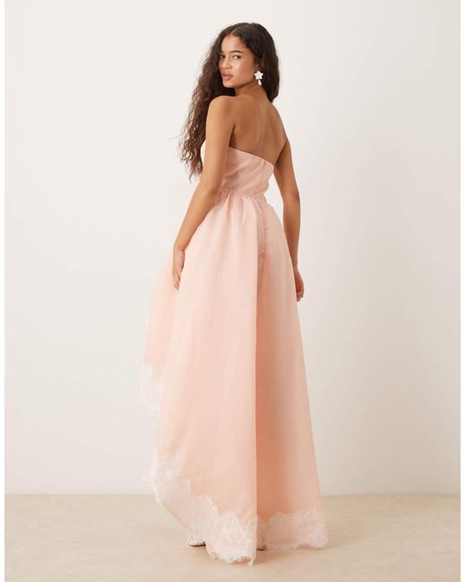 True Decadence Natural Strapeless Maxi Dresses