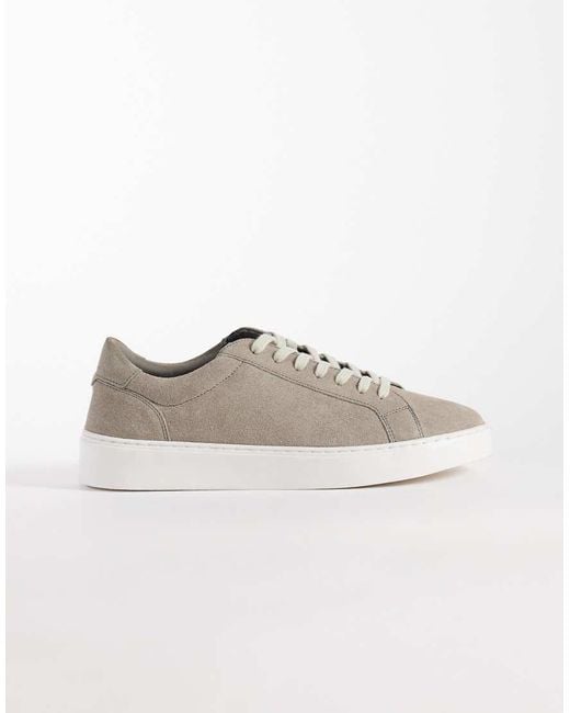 ASOS Multicolor Trainers for men