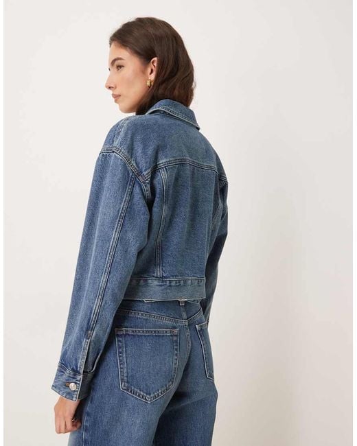 Calvin Klein Blue Cropped Denim Trucker Jacket