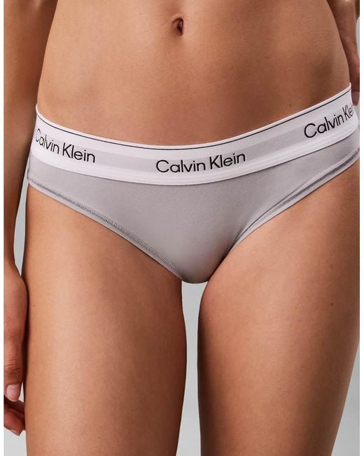 Calvin Klein Gray Icon Cotton Modal Bikini Brief 2pk