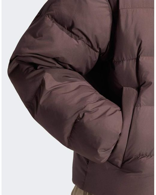 Adidas Originals Brown Stand Collar Regen Jacket for men