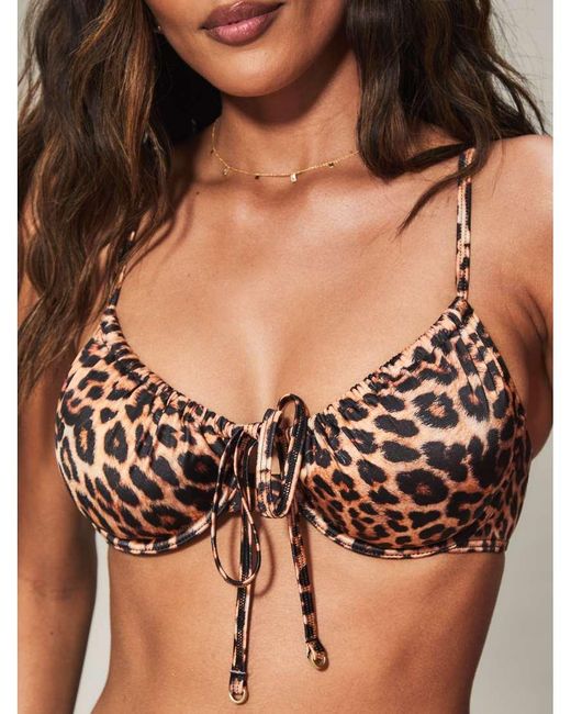 KBX Brown Knickerbox Collections Print Wired Bikini Top