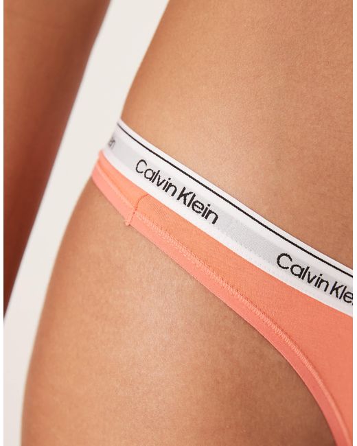 Calvin Klein White Icon Logo Thong