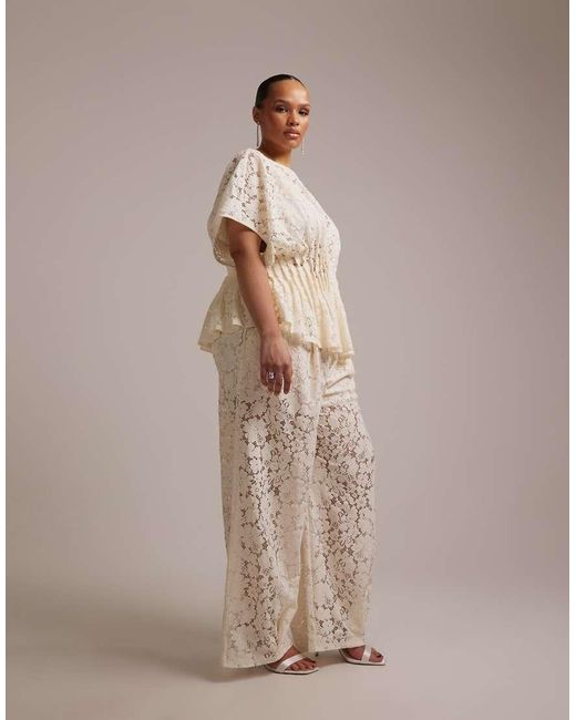 ASOS Brown Asos Design Curve Bridal Short Sleeve Lace Top Coord