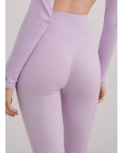 Aim'n Purple Pale Ribbed Wool Leggings