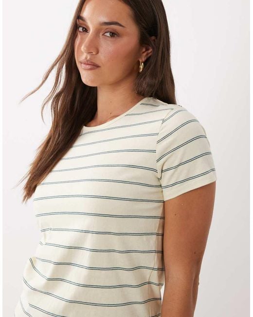 Mango Blue 100% Cotton T-Shirt