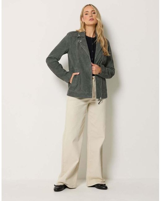 Long Tall Sally Gray Suede Biker Jacket