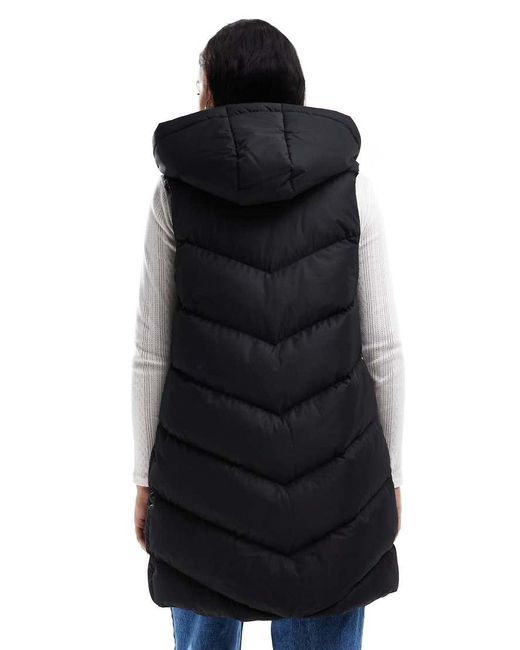 Gilet Taglio Lungo Imbottito Con Cappuccio di Threadbare in Blue