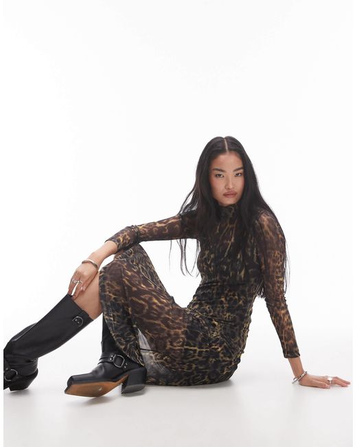 Hanna - robe mi-longue en tulle - imprimé léopard AllSaints en coloris White