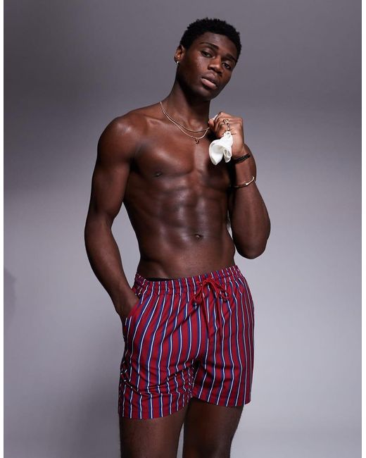 South Beach Purple Stripe Swim Short for men