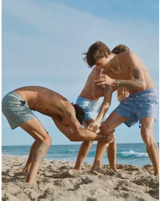 Pull&Bear Blue Embroidered Board Shorts for men