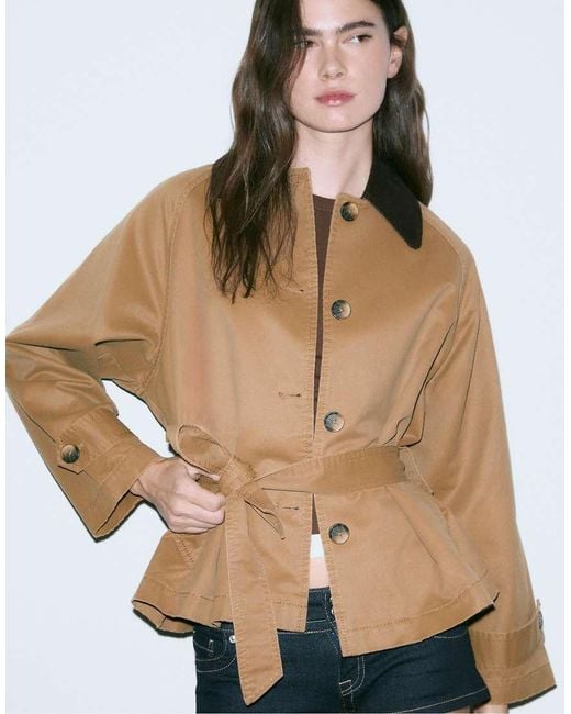 Stradivarius Brown Short Waxed Trench Coat With Belt