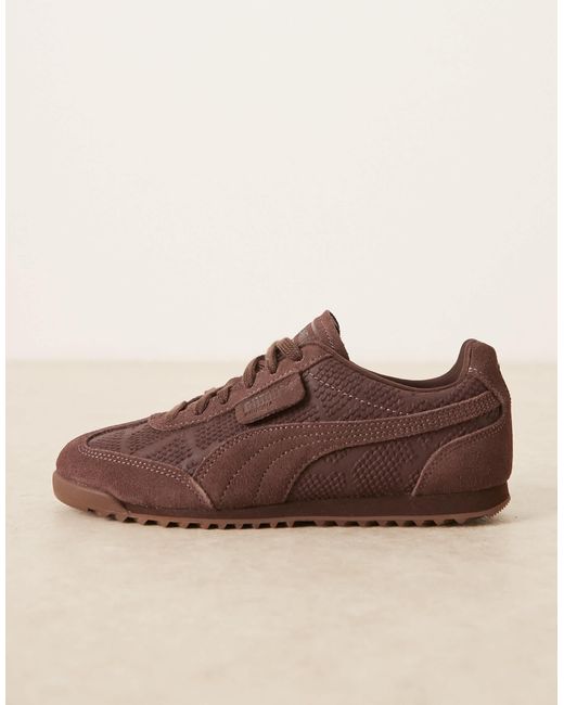 PUMA Brown – arizona python – sneaker