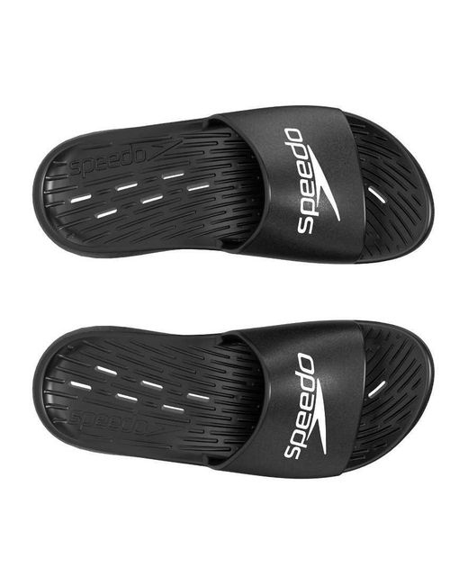 Speedo Black Slide