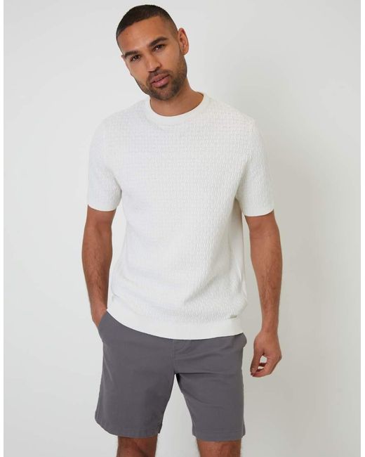 Threadbare Gray Cotton Regular Fit Stretch Chino Shorts for men
