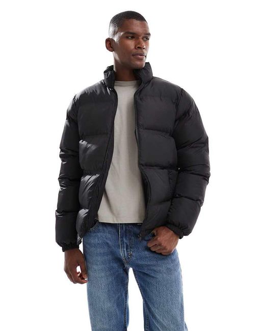 New Look Blue Puffer Jacket for men