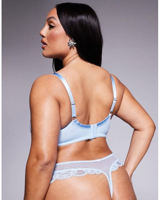 ASOS Blue Asos Design Curve Lola Lace Underwired Bra