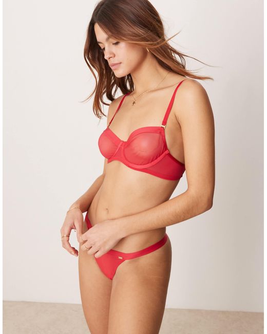 KBX Red – zadie – netzstoff-tanga
