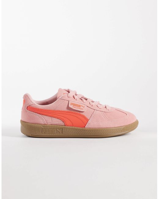 Palermo - baskets - clair PUMA en coloris Pink