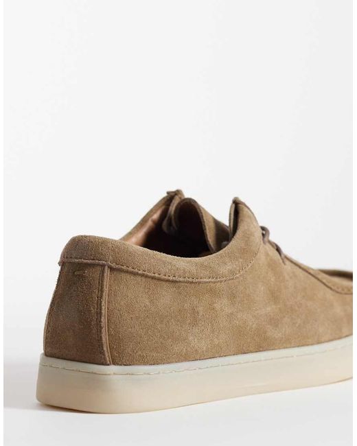 Mango Brown Real Leather Lace Up Shoes for men