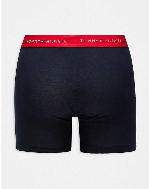 Signature Cotton Essentials di Tommy Hilfiger in Blue da Uomo