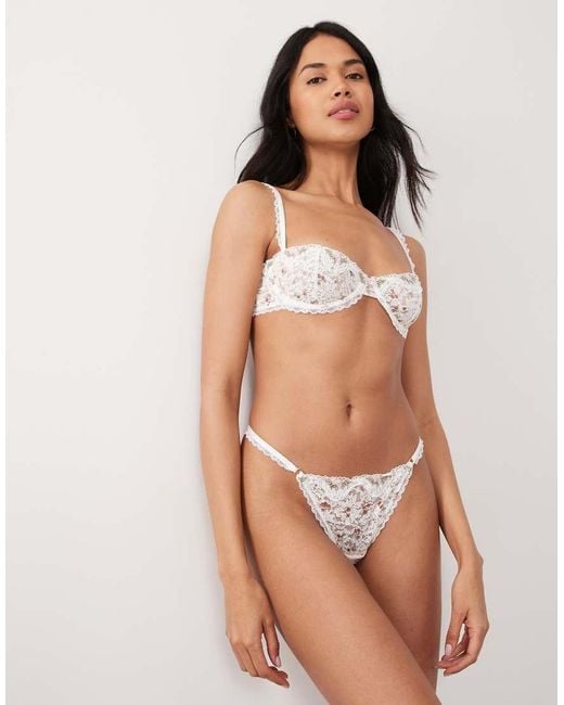 Wild Lovers Brown Margot Underwired Bra