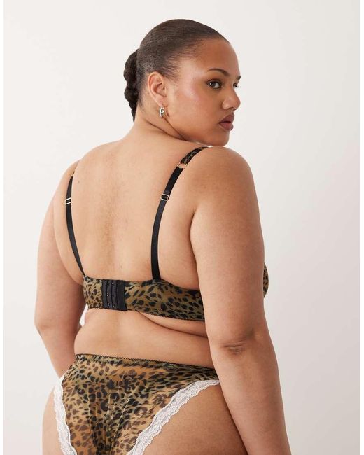 ASOS Brown Asos Design Curve Savannah Sheer Mesh Leopard Print Brazilian With Cream Lace Trim