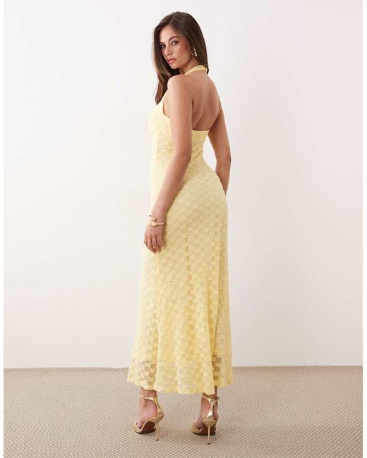 Bardot Natural Mariko Cotton Blend Halter Neck Floral Embroidered Lace Maxi Dress