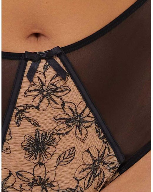 Playful Promises Brown Olivia Contrast Embroidery High Waist Brief