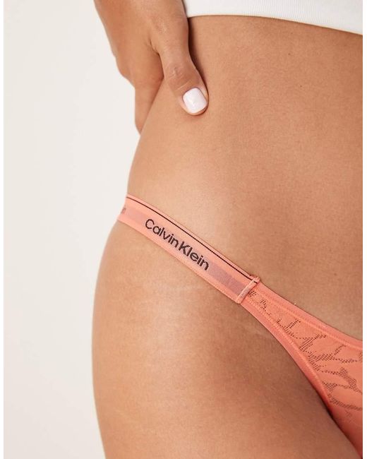Tanga Coral Con Diseño De Pico Icon Lace De Calvin Klein de color Brown