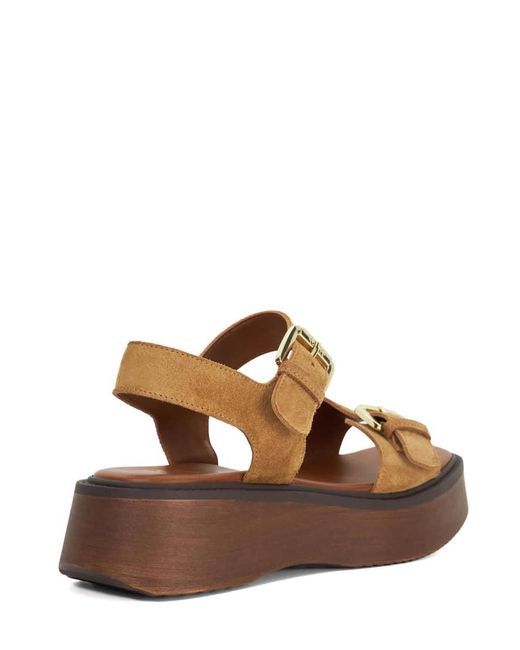 Dune Brown Luno Platform Sandals