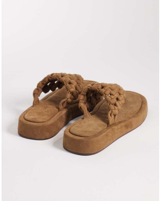 ASOS Frederick in het Brown