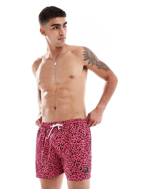 OOSC Red Leopard Swim Shorts for men