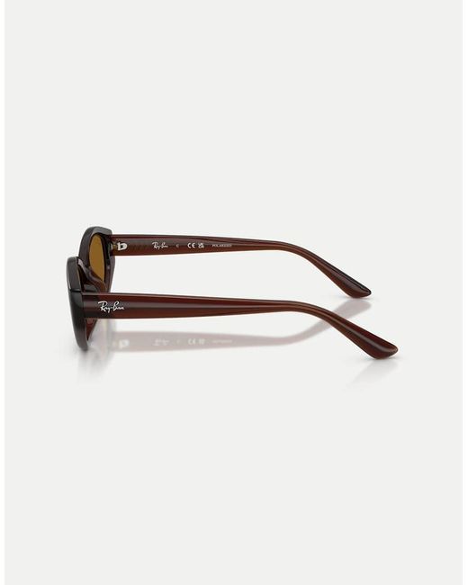 Ray-Ban Natural Rb4473D Irregular Polarised Sunglasses With Lens