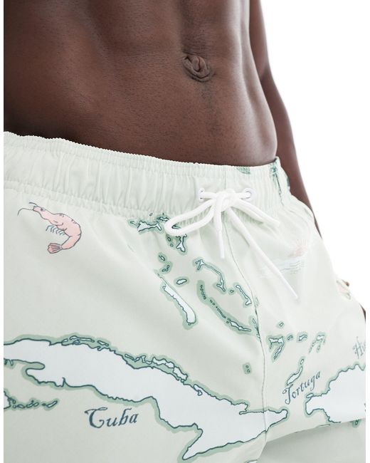Hollister Gray 5inch Tropical Map Print Swim Shorts for men