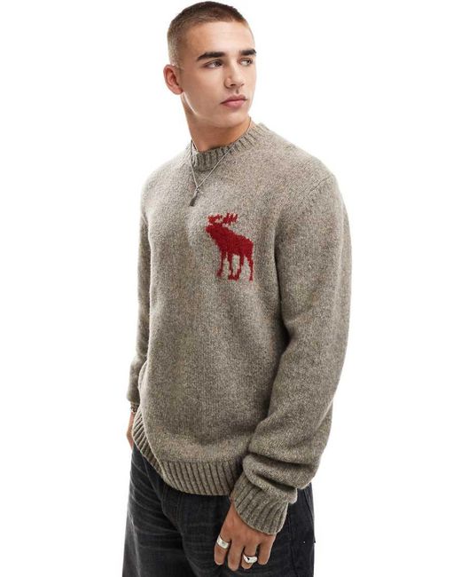 Abercrombie & Fitch Gray Instarsia Icon Logo Fuzzy Knit Jumper for men