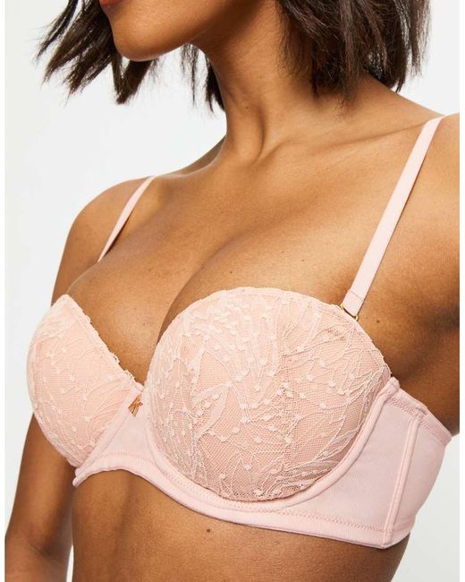 KBX Brown Louisa Padded Strapless Bra
